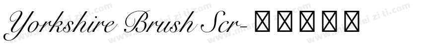 Yorkshire Brush Scr字体转换